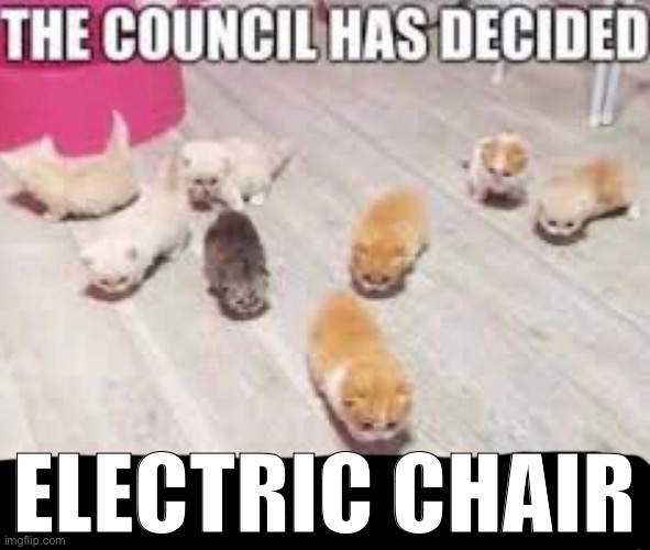 ELECTRIC CHAIR | image tagged in the council has decided | made w/ Imgflip meme maker