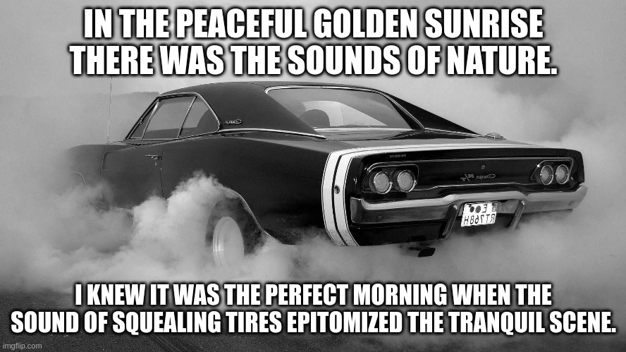 muscle car burnout | IN THE PEACEFUL GOLDEN SUNRISE THERE WAS THE SOUNDS OF NATURE. I KNEW IT WAS THE PERFECT MORNING WHEN THE SOUND OF SQUEALING TIRES EPITOMIZED THE TRANQUIL SCENE. | image tagged in muscle car burnout | made w/ Imgflip meme maker