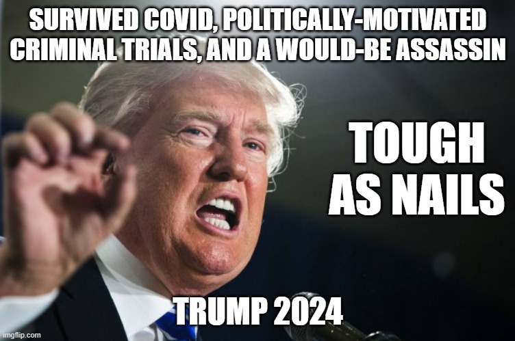 donald trump | SURVIVED COVID, POLITICALLY-MOTIVATED CRIMINAL TRIALS, AND A WOULD-BE ASSASSIN; TOUGH AS NAILS; TRUMP 2024 | image tagged in donald trump | made w/ Imgflip meme maker