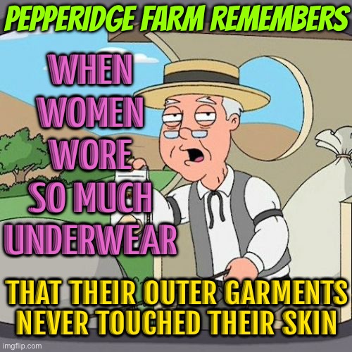 Pepperidge Farm Remembers When Women Wore So Much Underwear That Their Outer Garments Never Touched Their Skin | PEPPERIDGE FARM REMEMBERS; WHEN
WOMEN
WORE
SO MUCH
UNDERWEAR; THAT THEIR OUTER GARMENTS NEVER TOUCHED THEIR SKIN | image tagged in memes,pepperidge farm remembers,panties,big girl panties,underwear,lingerie | made w/ Imgflip meme maker