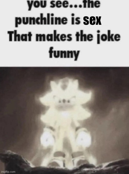 You see the punchline is that makes the joke funny shadow | sex | image tagged in you see the punchline is that makes the joke funny shadow | made w/ Imgflip meme maker