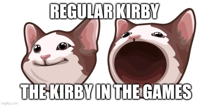 REGULAR KIRBY; THE KIRBY IN THE GAMES | image tagged in cats | made w/ Imgflip meme maker