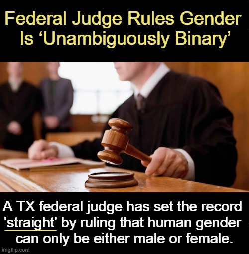 Attn: MODS, News reports cannot be sexist! I am the messenger reporting the facts. | Federal Judge Rules Gender 
Is ‘Unambiguously Binary’; A TX federal judge has set the record 
'straight' by ruling that human gender 
can only be either male or female. ______ | image tagged in gender,gender identity,judge,male,female,political humor | made w/ Imgflip meme maker