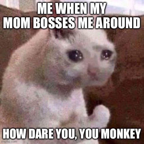 How dare you | ME WHEN MY MOM BOSSES ME AROUND; HOW DARE YOU, YOU MONKEY | image tagged in how dare you | made w/ Imgflip meme maker
