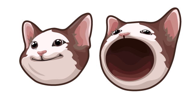 Bro cat Blank Meme Template