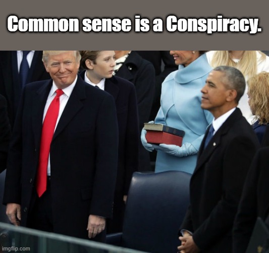 Common sense is a Conspiracy. | made w/ Imgflip meme maker