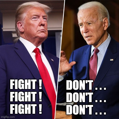 Your Presidential Candidates in Contrast | FIGHT !  
FIGHT !  
FIGHT ! DON'T . . . 
DON'T . . . 
DON'T . . . | image tagged in trump biden,fight,don't,alpha male,beta,presidential race | made w/ Imgflip meme maker