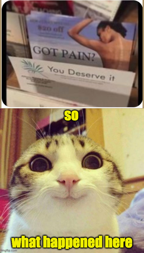 im in PAIIIIIIIIIIN | so; what happened here | image tagged in smiling cat meme,you had one job | made w/ Imgflip meme maker