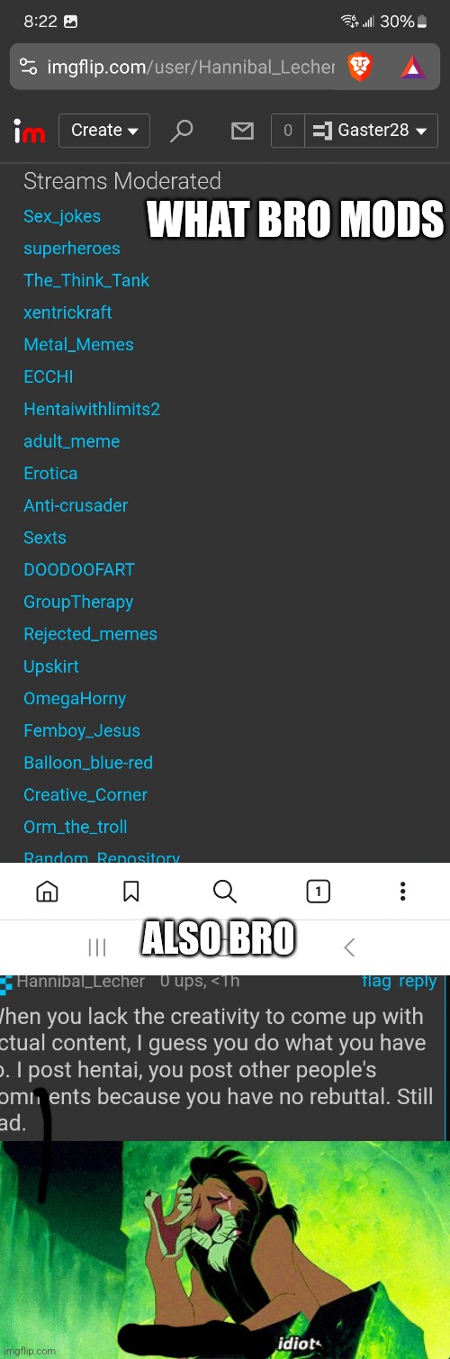 WHAT BRO MODS; ALSO BRO | image tagged in i'm surrounded by idiots | made w/ Imgflip meme maker