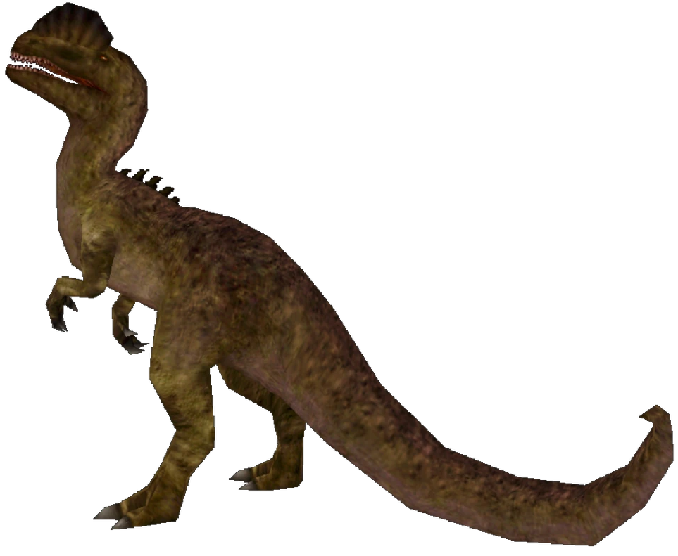 Female Sinosaurus (FMM UV-32) Blank Meme Template