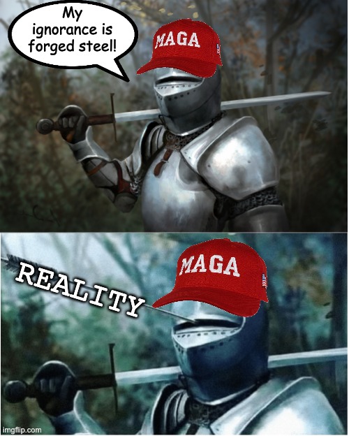 Knight with arrow in helmet | My ignorance is forged steel! REALITY | image tagged in knight with arrow in helmet | made w/ Imgflip meme maker
