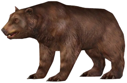 Cave Bear (FMM UV-32) Blank Meme Template