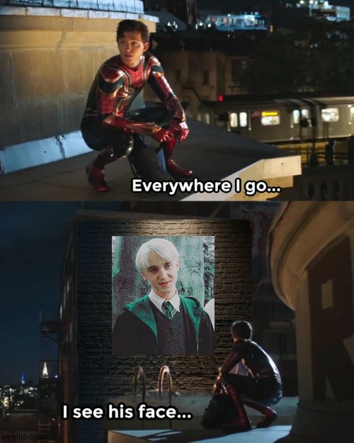 everywhere i go | image tagged in everywhere i go i see his face,draco malfoy,harry potter,stop reading the tags,i said stop,bruh | made w/ Imgflip meme maker