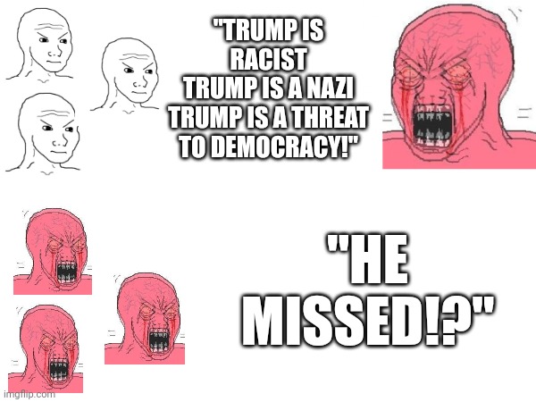 I am a mirror | "TRUMP IS RACIST
TRUMP IS A NAZI
TRUMP IS A THREAT TO DEMOCRACY!"; "HE MISSED!?" | made w/ Imgflip meme maker