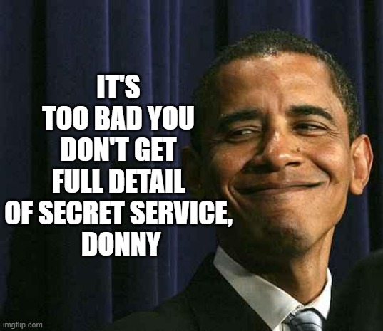 2bAd | IT'S TOO BAD YOU DON'T GET FULL DETAIL OF SECRET SERVICE,
 DONNY | image tagged in obama smug face | made w/ Imgflip meme maker