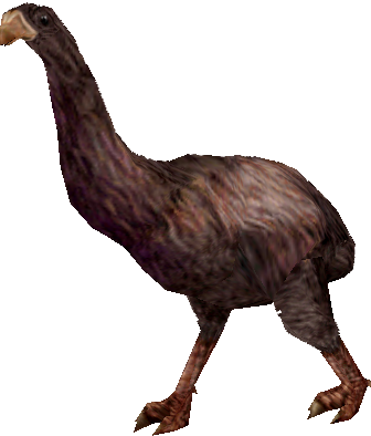 Dinornis (FMM UV-32) Blank Meme Template