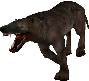 Hyaenodon (FMM UV-32) Blank Meme Template