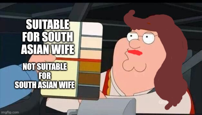 Who knows they know... | SUITABLE FOR SOUTH ASIAN WIFE; NOT SUITABLE FOR SOUTH ASIAN WIFE | image tagged in peter griffin skin color chart race terrorist blank,south asian,light skin,indian bride,wife,memes | made w/ Imgflip meme maker