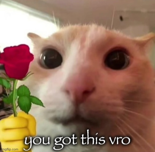 You got this vro | image tagged in you got this vro | made w/ Imgflip meme maker