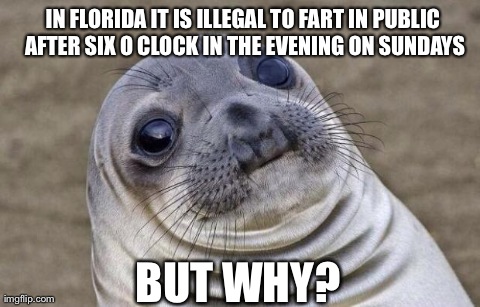 But why? Stupid laws. | IN FLORIDA IT IS ILLEGAL TO FART IN PUBLIC AFTER SIX O CLOCK IN THE EVENING ON SUNDAYS BUT WHY? | image tagged in memes,awkward moment sealion | made w/ Imgflip meme maker
