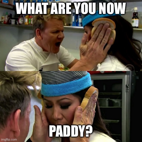 Gordan Ramsay Idiot Sandwich | WHAT ARE YOU NOW; PADDY? | image tagged in gordan ramsay idiot sandwich | made w/ Imgflip meme maker