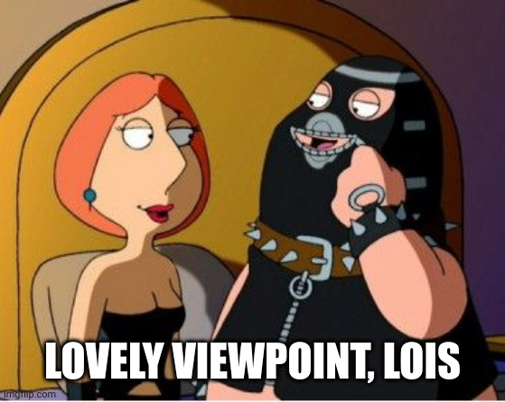 Family Guy bondage | LOVELY VIEWPOINT, LOIS | image tagged in family guy bondage | made w/ Imgflip meme maker