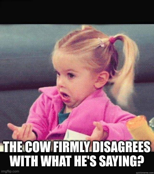 I dont know girl | THE COW FIRMLY DISAGREES WITH WHAT HE'S SAYING? | image tagged in i dont know girl | made w/ Imgflip meme maker
