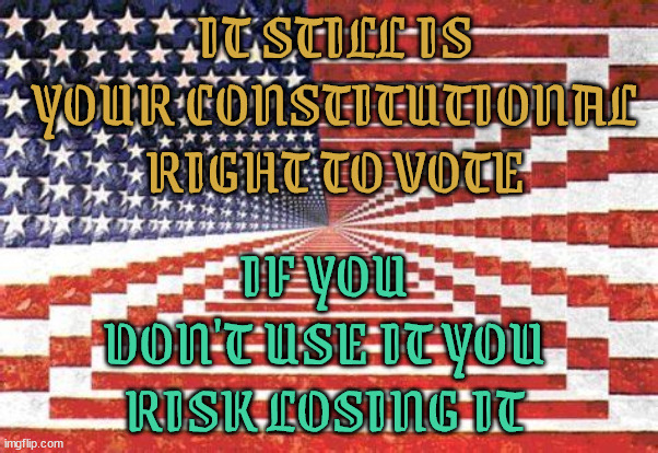 Democracy | IT STILL IS YOUR CONSTITUTIONAL RIGHT TO VOTE; IF YOU DON'T USE IT YOU RISK LOSING IT | image tagged in democracy,i pledge allegance to the flag,freedom,liberty,truth and justice 4 all,boomers r 2 blame | made w/ Imgflip meme maker