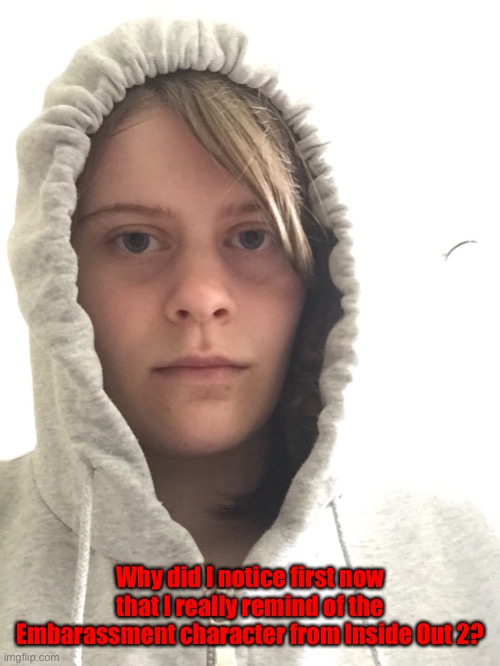I’m literally laughing at myself rn | Why did I notice first now that I really remind of the Embarassment character from Inside Out 2? | made w/ Imgflip meme maker