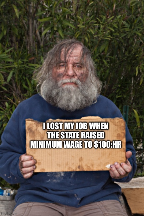 Blak Homeless Sign | I LOST MY JOB WHEN THE STATE RAISED MINIMUM WAGE TO $100:HR | image tagged in stupid liberals,assholes,libtard,douchebag,screaming liberal | made w/ Imgflip meme maker