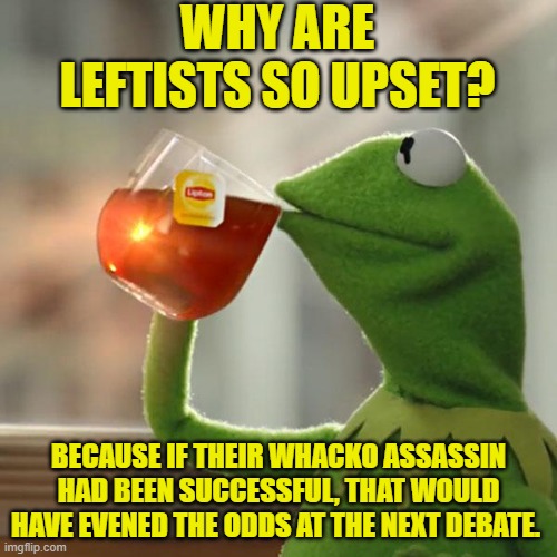 This Joke is courtesy of Magills from Twitter-X | WHY ARE LEFTISTS SO UPSET? BECAUSE IF THEIR WHACKO ASSASSIN HAD BEEN SUCCESSFUL, THAT WOULD HAVE EVENED THE ODDS AT THE NEXT DEBATE. | image tagged in kermit the frog | made w/ Imgflip meme maker