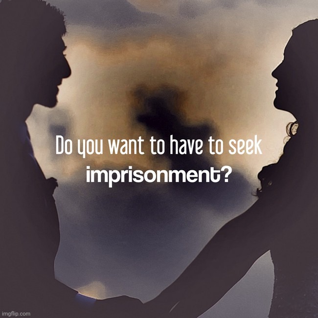 Do you want to have to seek imprisonment? | image tagged in do you want to have to seek imprisonment | made w/ Imgflip meme maker