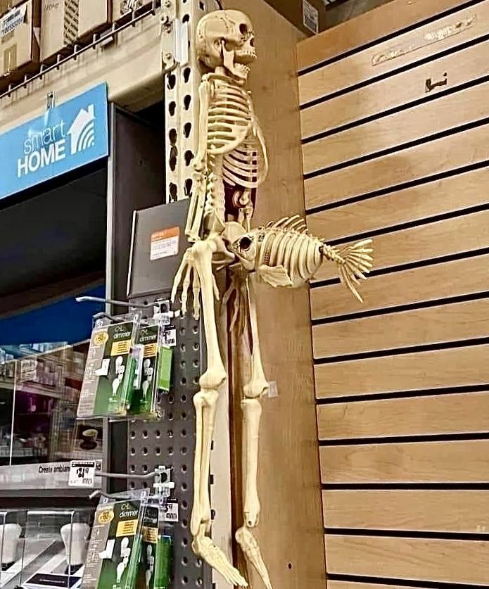 Piranha skeleton biting skeleton Blank Meme Template