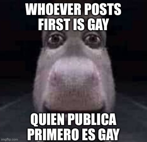 English or Spanish | image tagged in whoever posts first is gay | made w/ Imgflip meme maker