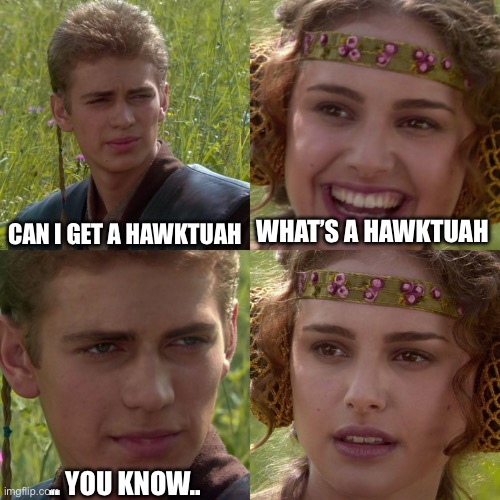 HawkTuah in the Field | CAN I GET A HAWKTUAH; WHAT’S A HAWKTUAH; .. YOU KNOW.. | image tagged in anakin padme 4 panel | made w/ Imgflip meme maker