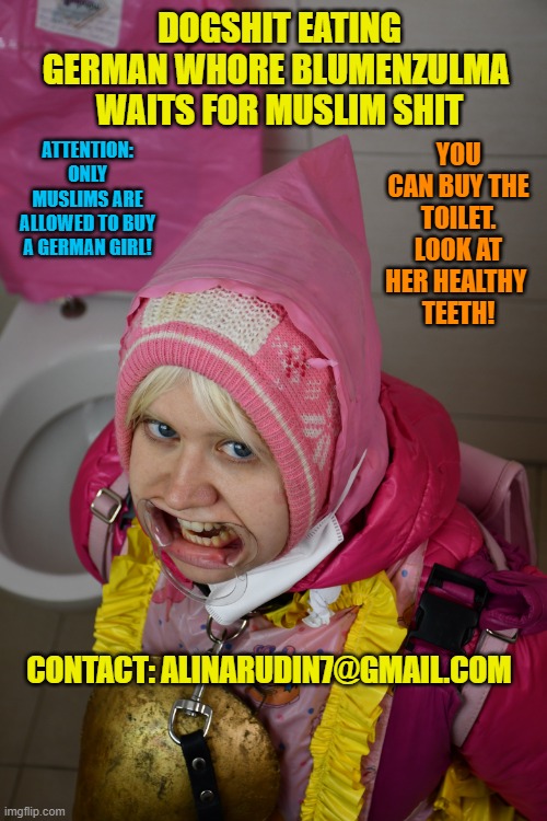 Dogshit eating German whore Blumenzulma waits for Muslim shit | YOU CAN BUY THE TOILET. LOOK AT HER HEALTHY 
TEETH! DOGSHIT EATING GERMAN WHORE BLUMENZULMA 
WAITS FOR MUSLIM SHIT; ATTENTION: ONLY MUSLIMS ARE ALLOWED TO BUY A GERMAN GIRL! CONTACT: ALINARUDIN7@GMAIL.COM | image tagged in dogshit eating german whore blumenzulma waits for muslim shit | made w/ Imgflip meme maker