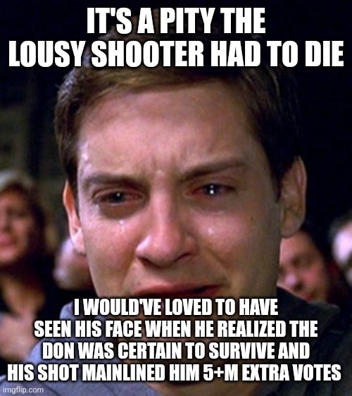 Trump shot | IT'S A PITY THE LOUSY SHOOTER HAD TO DIE; I WOULD'VE LOVED TO HAVE SEEN HIS FACE WHEN HE REALIZED THE DON WAS CERTAIN TO SURVIVE AND HIS SHOT MAINLINED HIM 5+M EXTRA VOTES | image tagged in crying peter parker | made w/ Imgflip meme maker