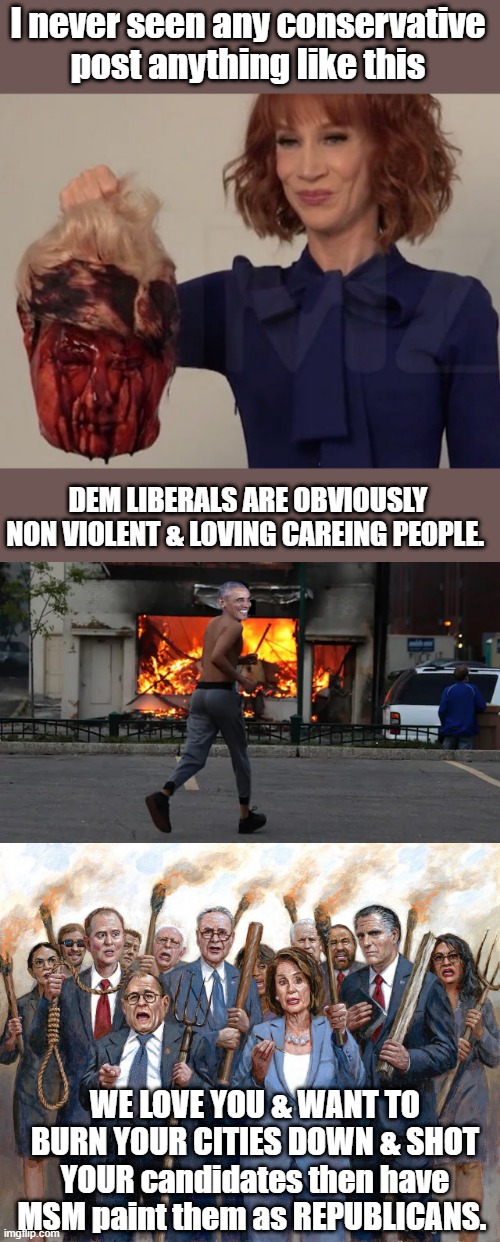 I never seen any conservative post anything like this; DEM LIBERALS ARE OBVIOUSLY NON VIOLENT & LOVING CAREING PEOPLE. WE LOVE YOU & WANT TO BURN YOUR CITIES DOWN & SHOT YOUR candidates then have MSM paint them as REPUBLICANS. | made w/ Imgflip meme maker
