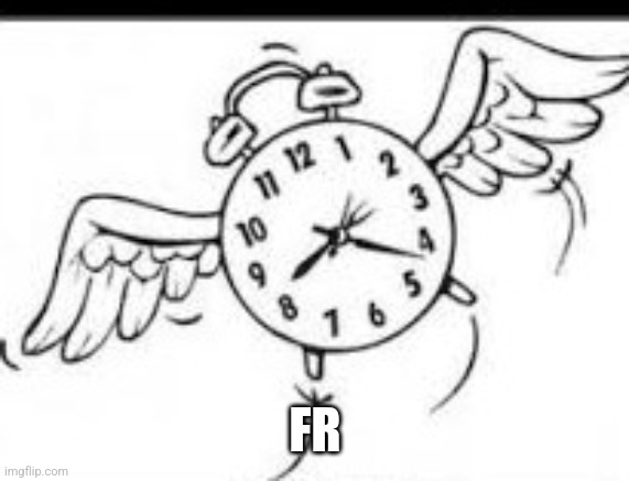 Time flies | FR | image tagged in time flies | made w/ Imgflip meme maker