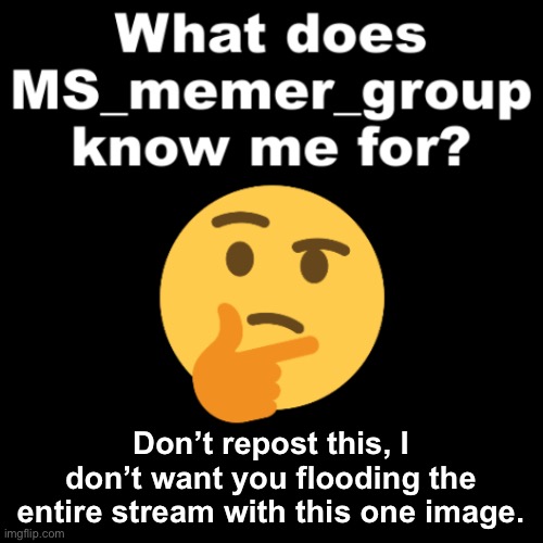 What does MS_memer_group know me for? | Don’t repost this, I don’t want you flooding the entire stream with this one image. | image tagged in what does ms_memer_group know me for | made w/ Imgflip meme maker
