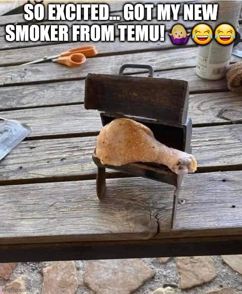 Tiny fun | SO EXCITED… GOT MY NEW SMOKER FROM TEMU! 🤷🏼‍♀️😂😂 | image tagged in funny memes | made w/ Imgflip meme maker