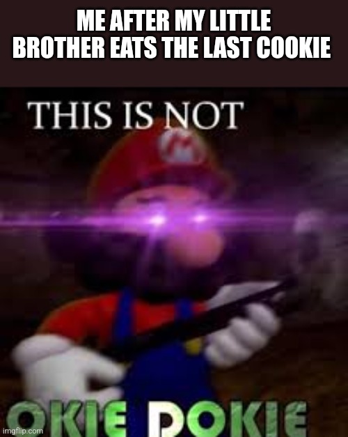 This is not okie dokie | ME AFTER MY LITTLE BROTHER EATS THE LAST COOKIE | image tagged in this is not okie dokie | made w/ Imgflip meme maker