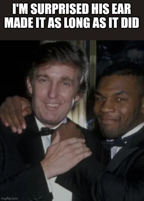 The ear has been in danger for decades | I'M SURPRISED HIS EAR MADE IT AS LONG AS IT DID | image tagged in donald trump,mike tyson,bite | made w/ Imgflip meme maker