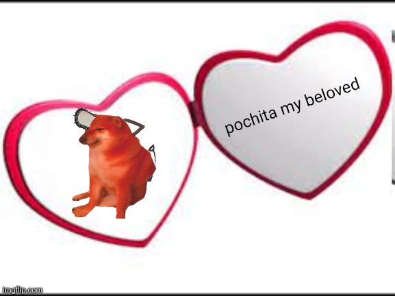 poochita | pochita my beloved | image tagged in my beloved | made w/ Imgflip meme maker