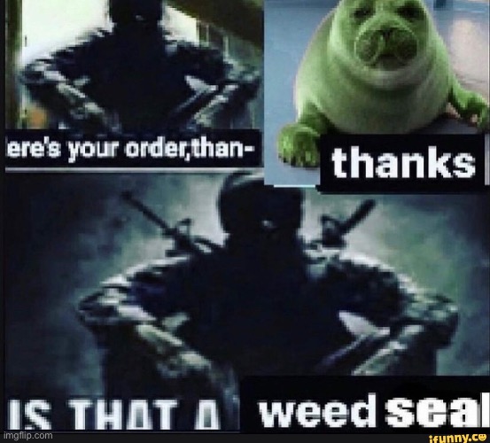 e | image tagged in weed seal | made w/ Imgflip meme maker