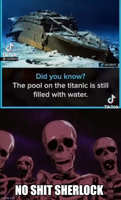 NO SHIT SHERLOCK | image tagged in berserk roast skeletons | made w/ Imgflip meme maker