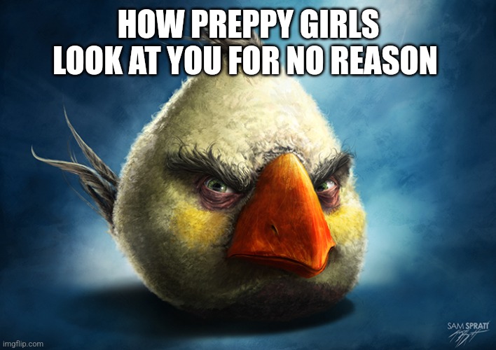 Real White Angry Bird | HOW PREPPY GIRLS LOOK AT YOU FOR NO REASON | image tagged in real white angry bird | made w/ Imgflip meme maker