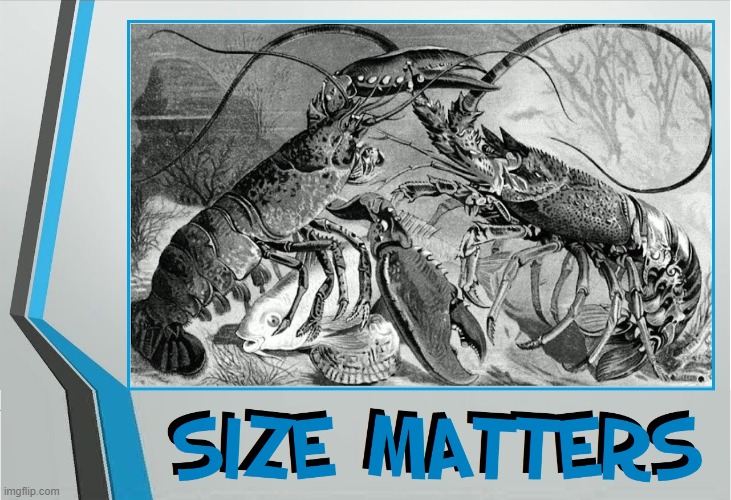 Lobsters with Big Claws Trump those with Long Feelers | image tagged in vince vance,lobsters,claws,memes,illustration,cartoon | made w/ Imgflip meme maker