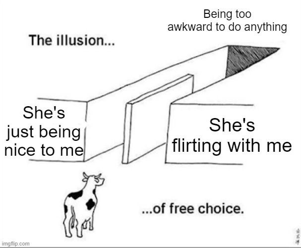 either way, it won't go well if you talk to her | Being too awkward to do anything; She's just being nice to me; She's flirting with me | image tagged in illusion of free choice,flirting,when your crush,crush,awkward,well this is awkward | made w/ Imgflip meme maker