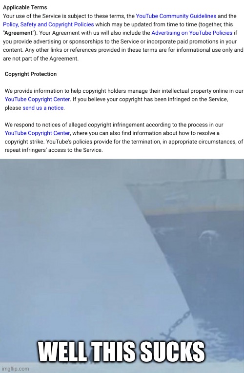 WELL THIS SUCKS | image tagged in well this sucks,youtube,copyright,terms and conditions,frustration | made w/ Imgflip meme maker